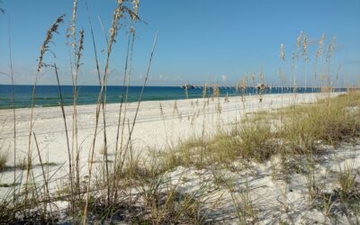 Morgan Wallen’s Sand In My Boots Music Festival